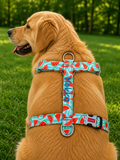 İsme Özel Watermelon Model Köpek Göğüs Tasması