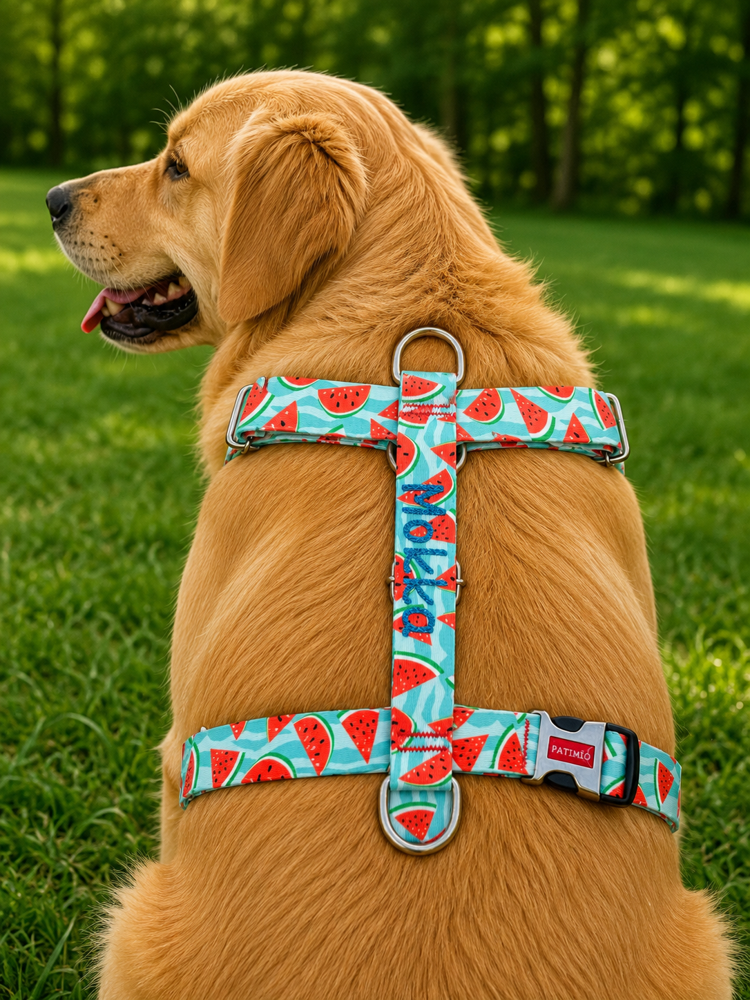 İsme Özel Watermelon Model Köpek Göğüs Tasması
