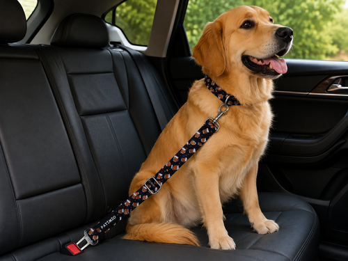 Beers Evcil Hayvan Köpek Araba Emniyet Kemeri