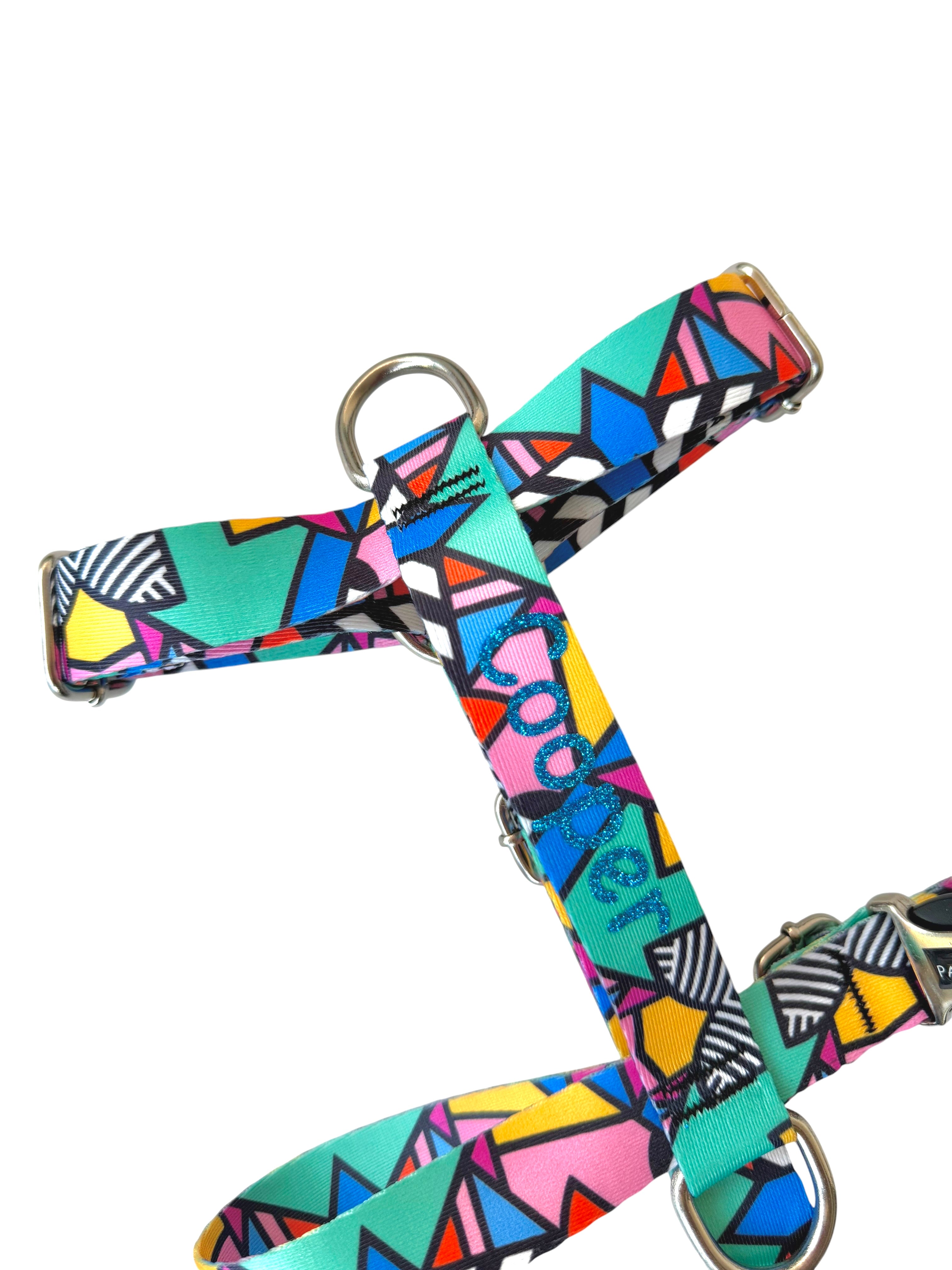 İsme Özel Colorful Model Köpek Göğüs Tasması