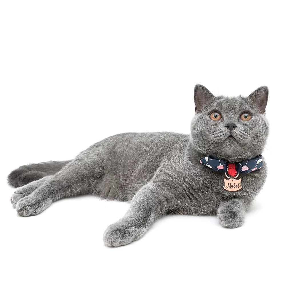 İsme Özel Çelik Kedi Köpek İsimlik Künyesi Gold Kedi