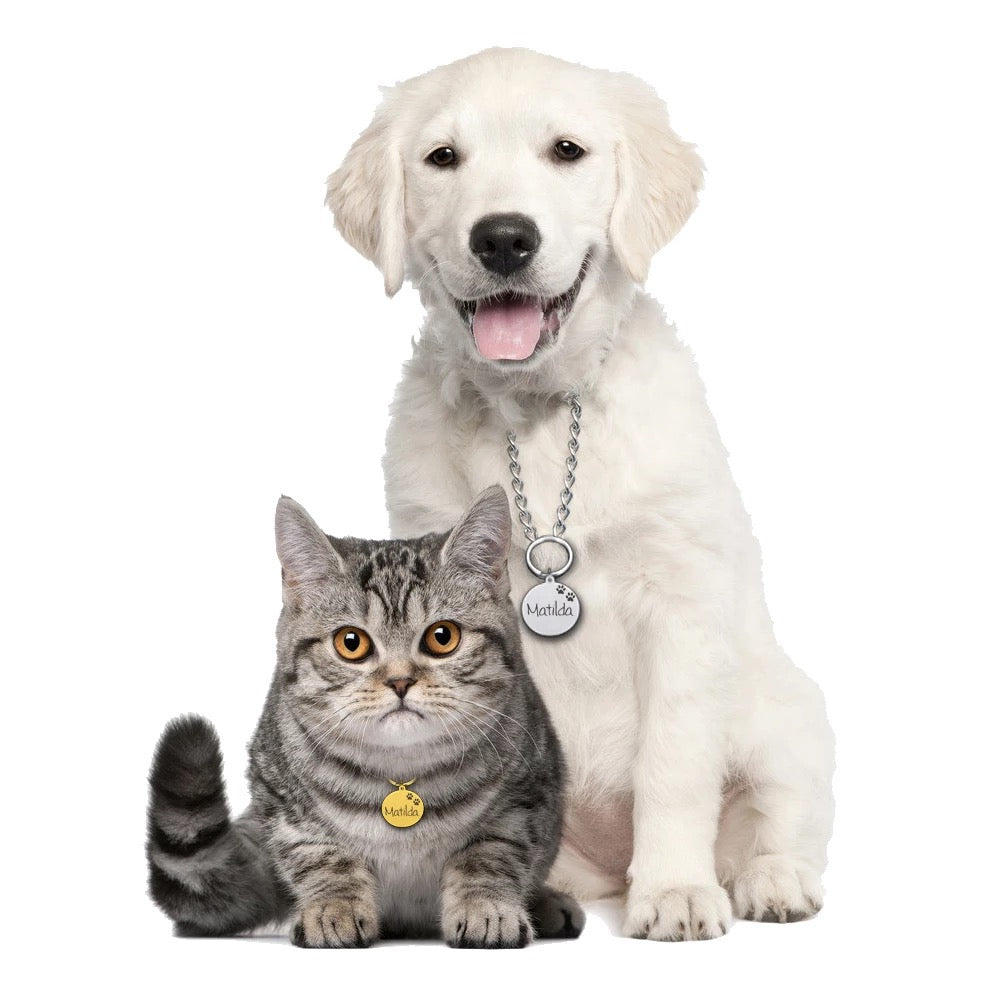 İsme Özel Çelik Kedi Köpek İsimlik Künyesi Yuvarlak Silver