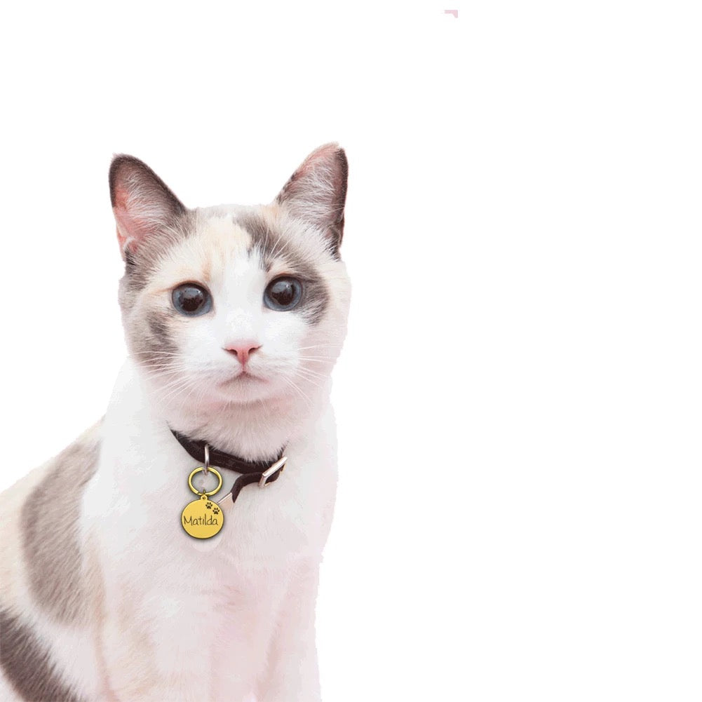 İsme Özel Çelik Kedi Köpek İsimlik Künyesi Yuvarlak Gold