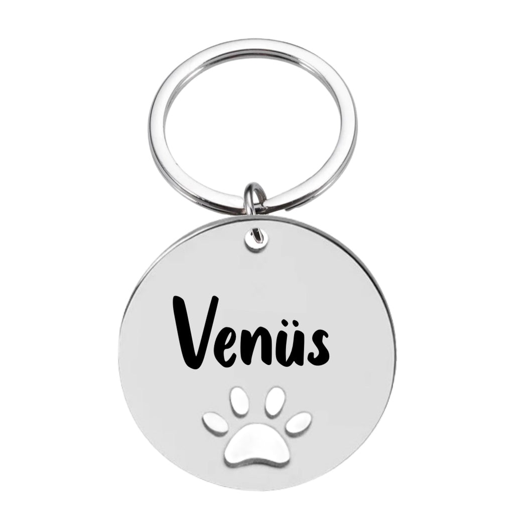 İsme Özel Çelik Kedi Köpek İsimlik Künyesi Patili Gümüş