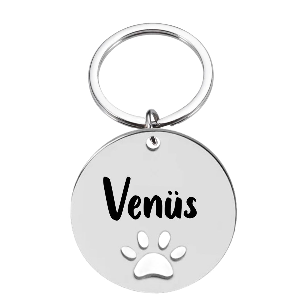 İsme Özel Çelik Kedi Köpek İsimlik Künyesi Patili Gümüş