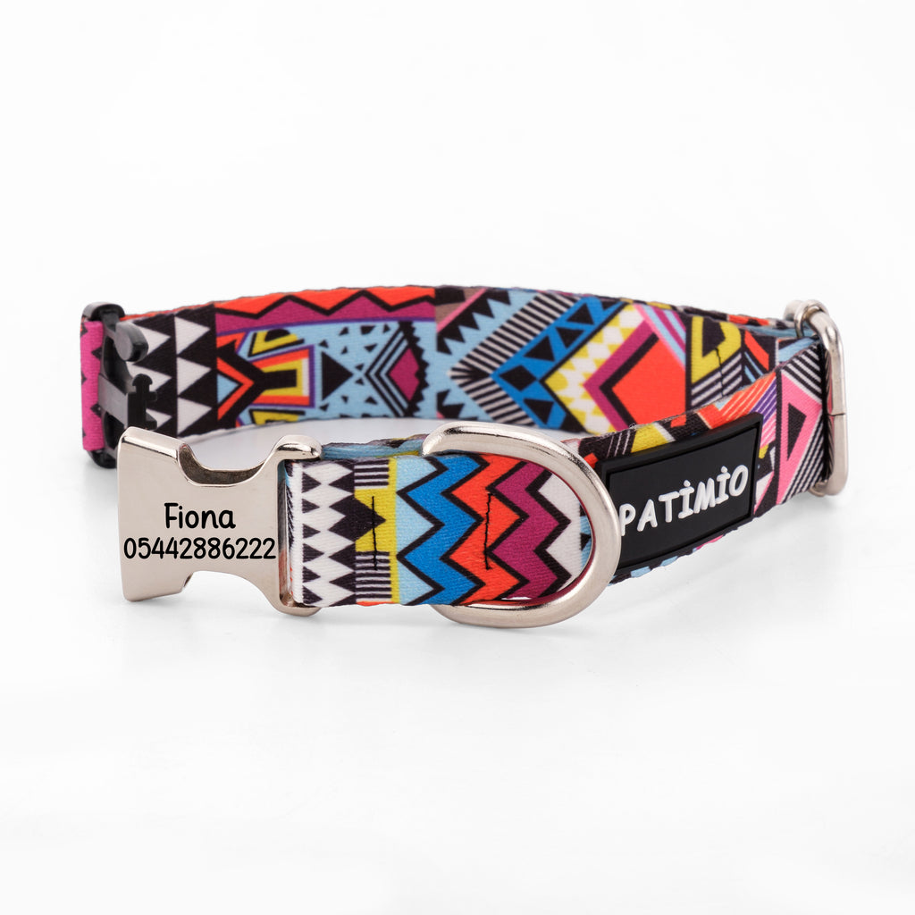 Astro İsimli Köpek Tasması (Kopya)