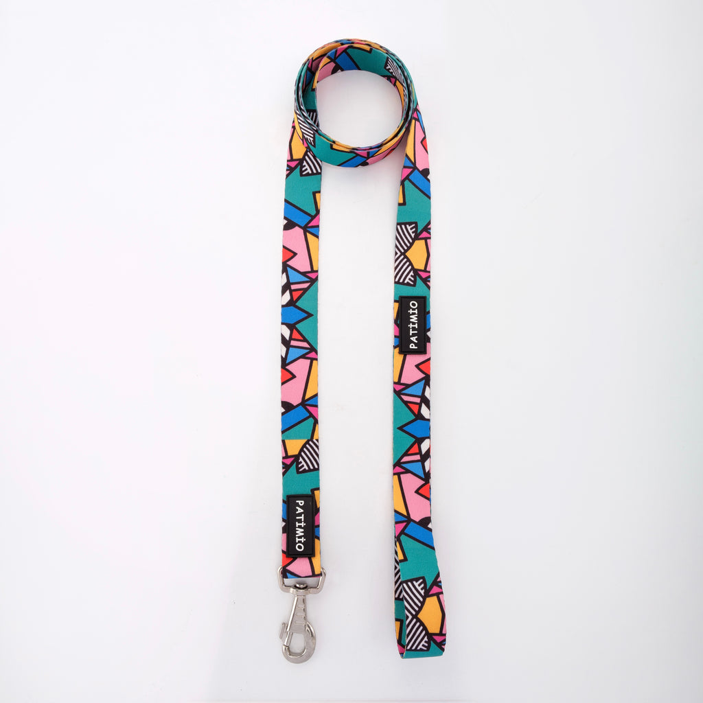 Colorful İsimli Köpek Tasması ve Gezdirme Kayışı