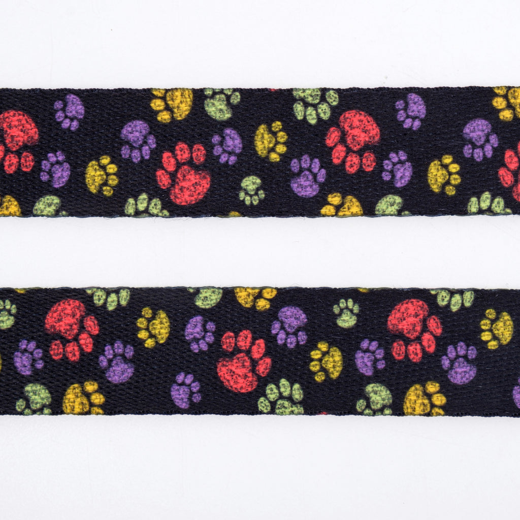 Paws İsimli Köpek Tasması
