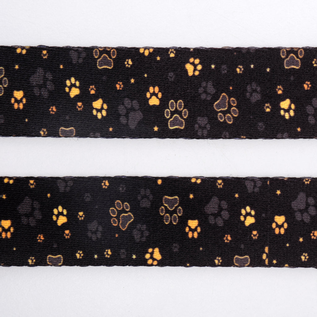 Gold Paws İsimli Köpek Tasması