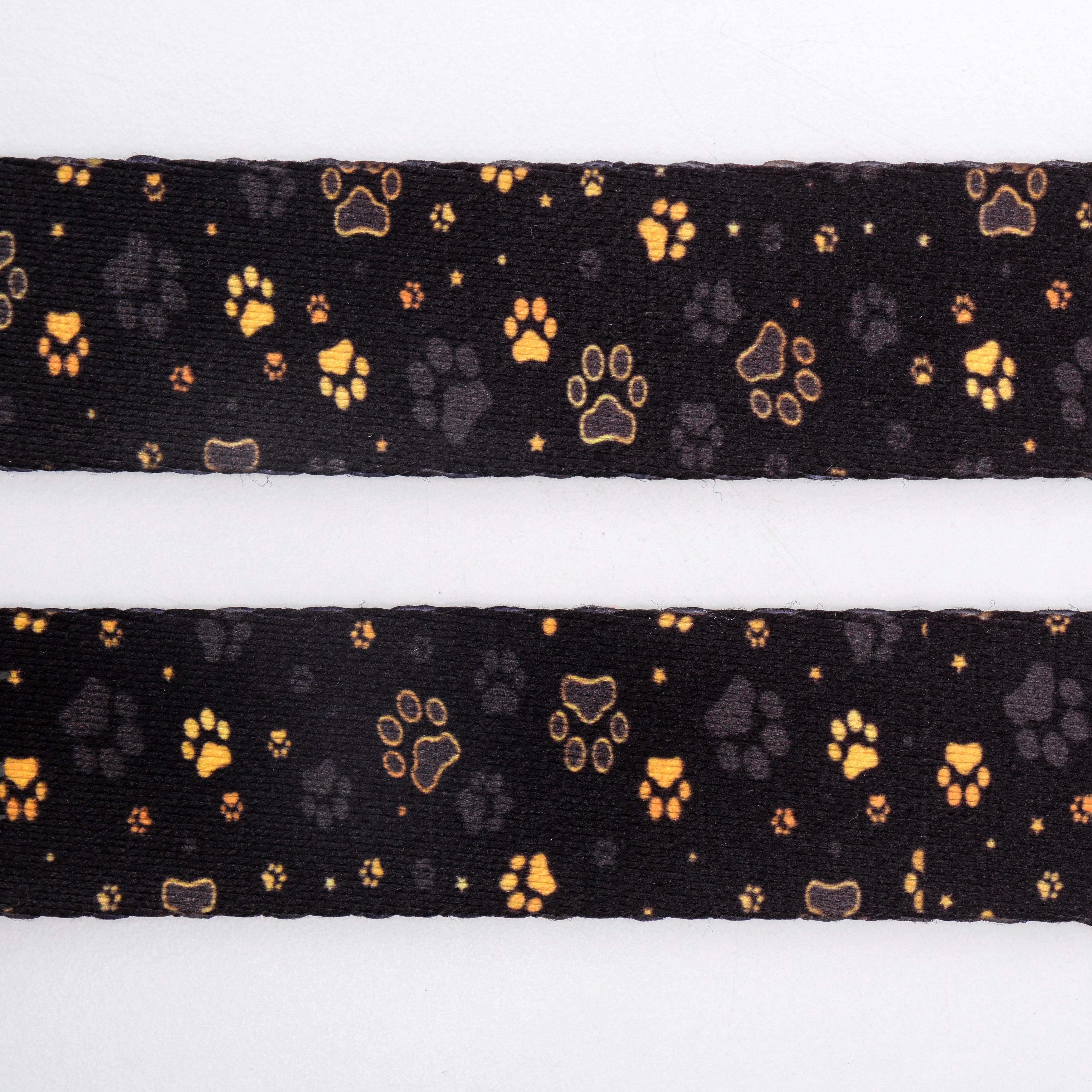 Gold Paws İsimli Köpek Tasması