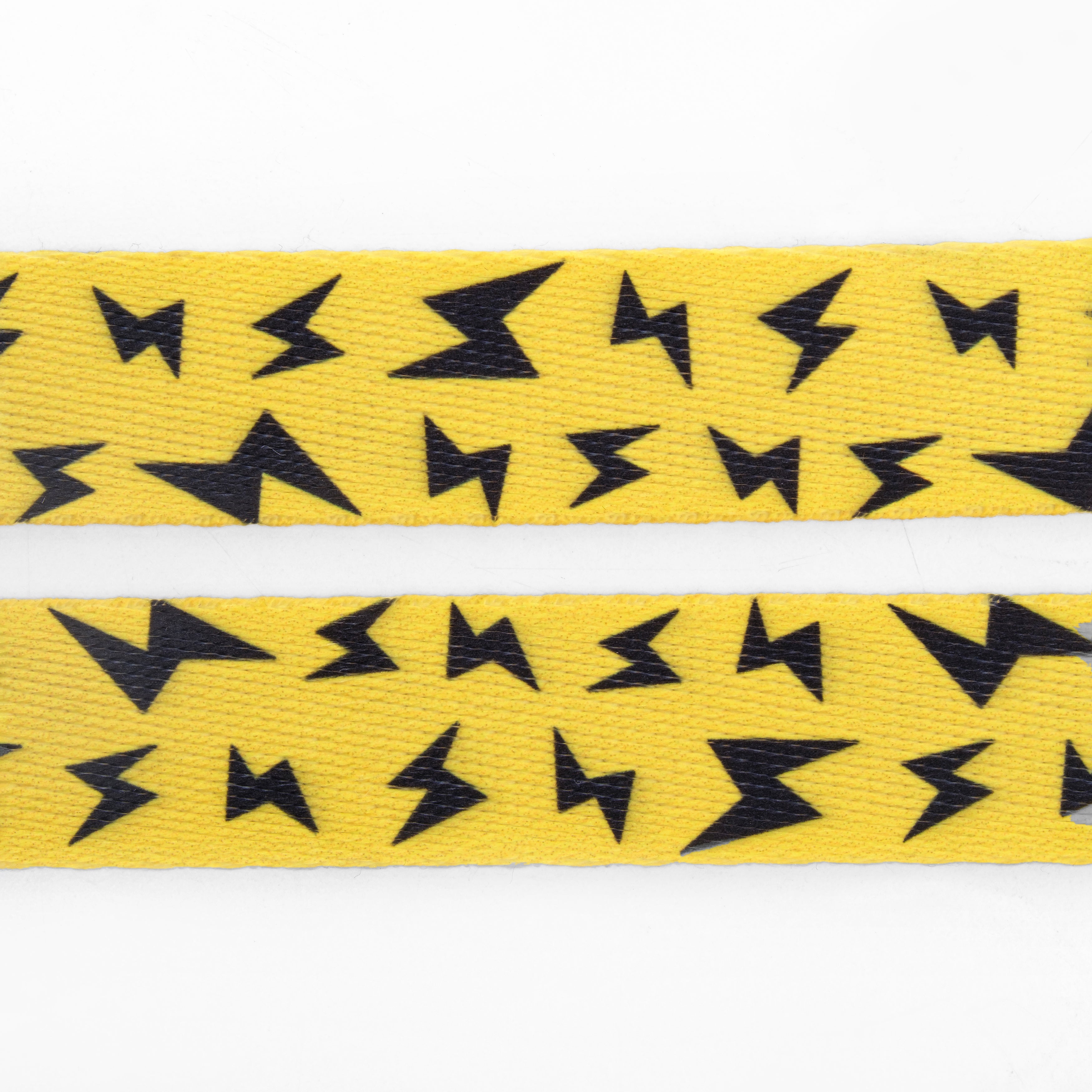 Yellow Boom İsimli Köpek Tasması