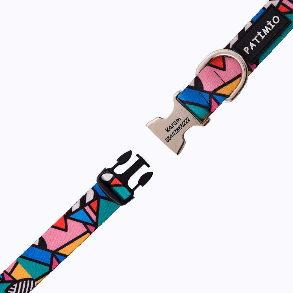 Colorful İsimli Köpek Tasması