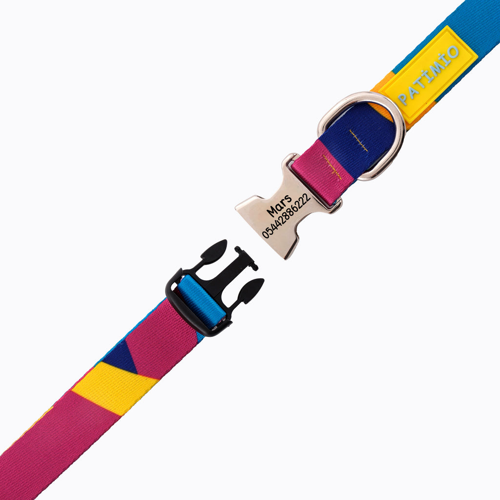 Colours İsimli Köpek Tasması