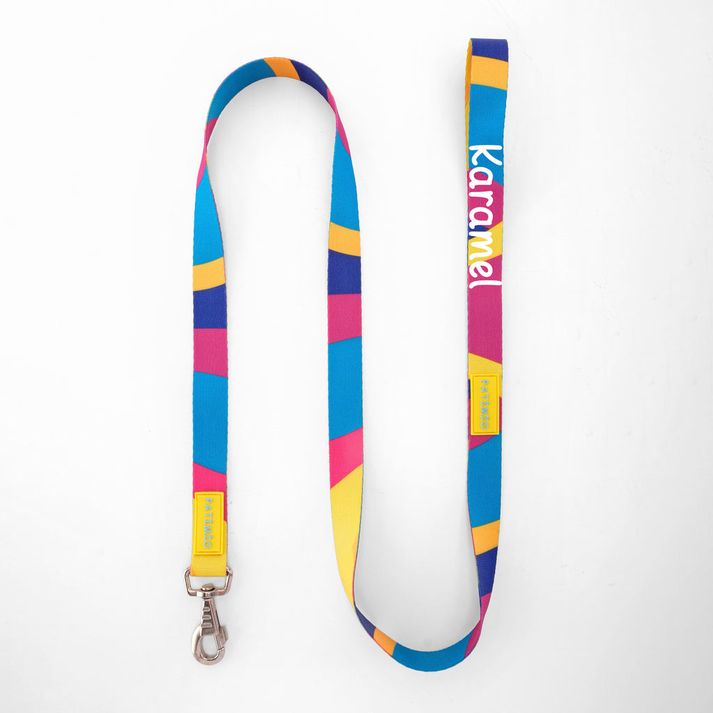 İsme Özel Colours Model Köpek Gezdirme Tasması