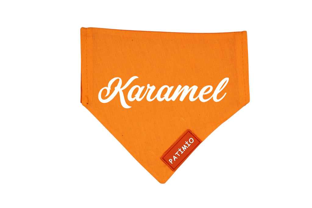 İsme Özel Turuncu Kedi Ve Köpek Tasma Fular Bandana