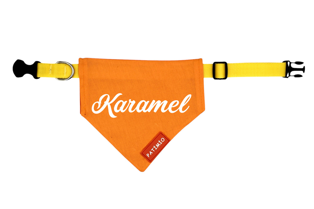 İsme Özel Turuncu Kedi Ve Köpek Tasma Fular Bandana