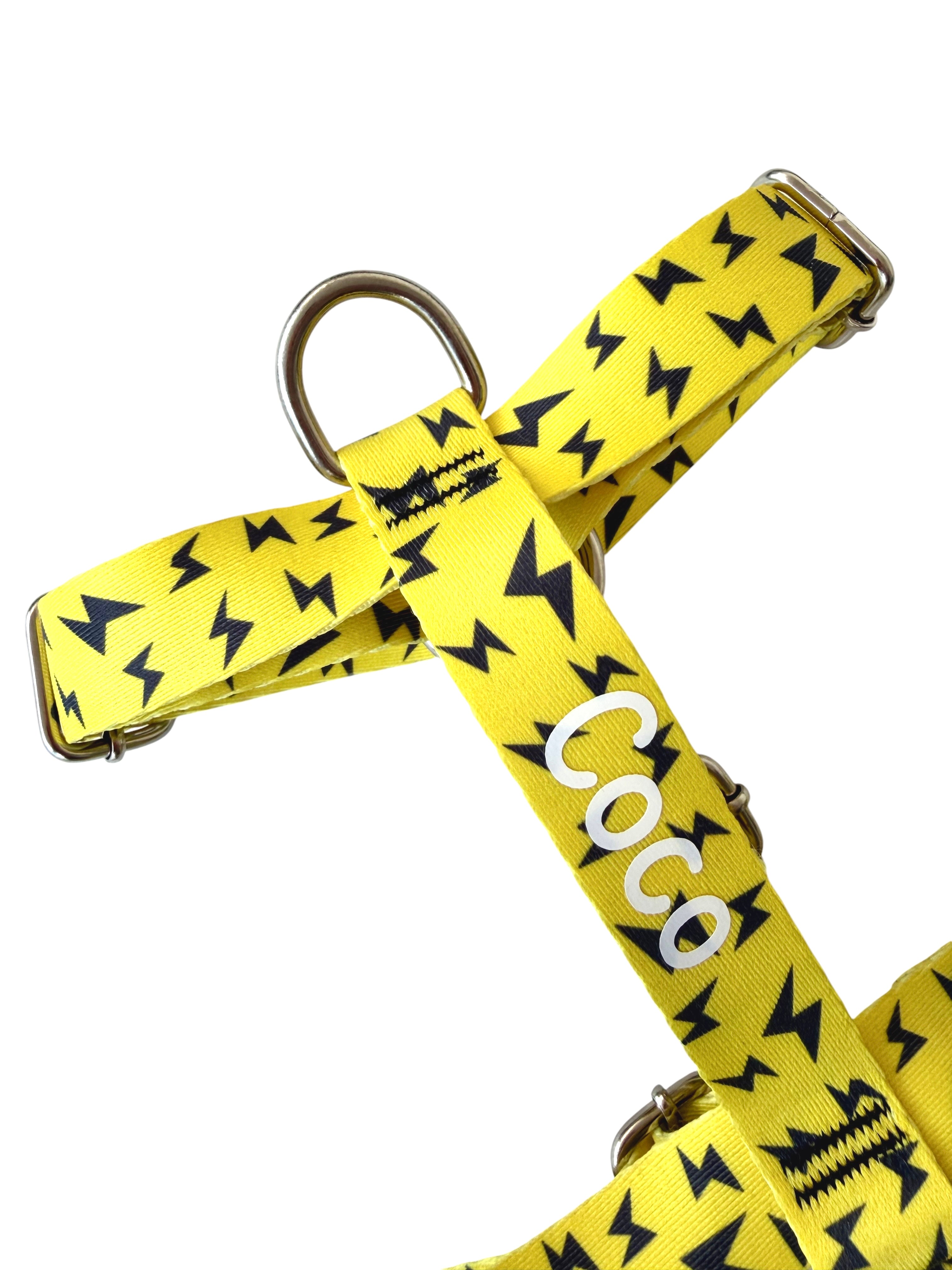İsme Özel Yellow Boom Model Köpek Göğüs Tasması