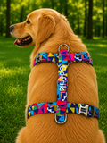 İsme Özel Kufu Model Köpek Göğüs Tasması