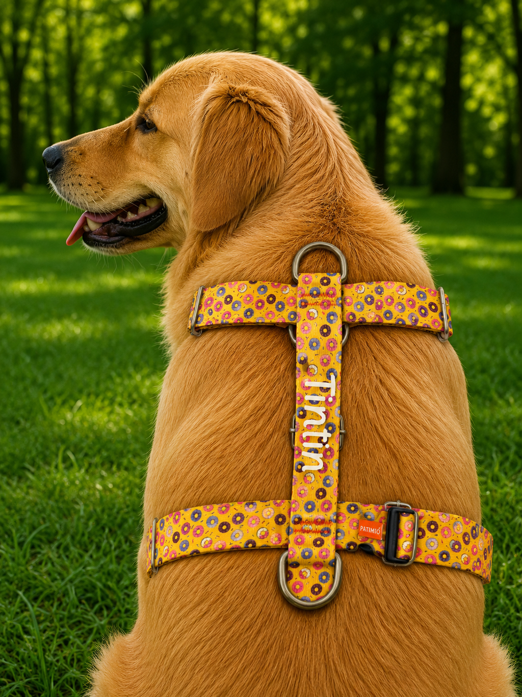 İsme Özel Donuts Model Köpek Göğüs Tasması