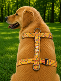 İsme Özel Donuts Model Köpek Göğüs Tasması