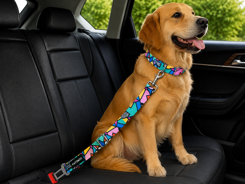 Colorful Evcil Hayvan Köpek Araba Emniyet Kemeri