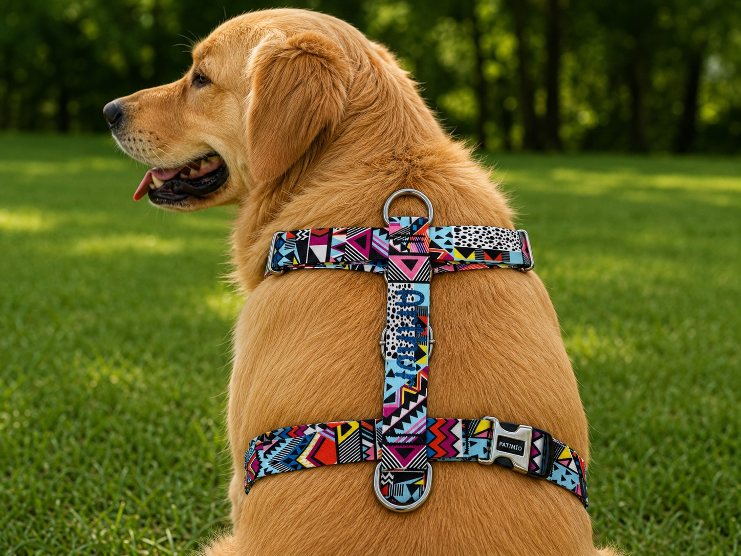 İsme Özel Astro Model Köpek Göğüs Tasması