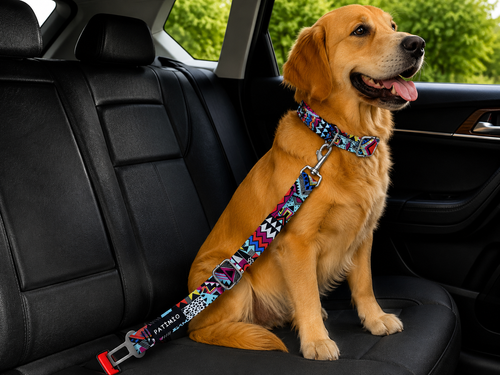 Astro Evcil Hayvan Köpek Araba Emniyet Kemeri