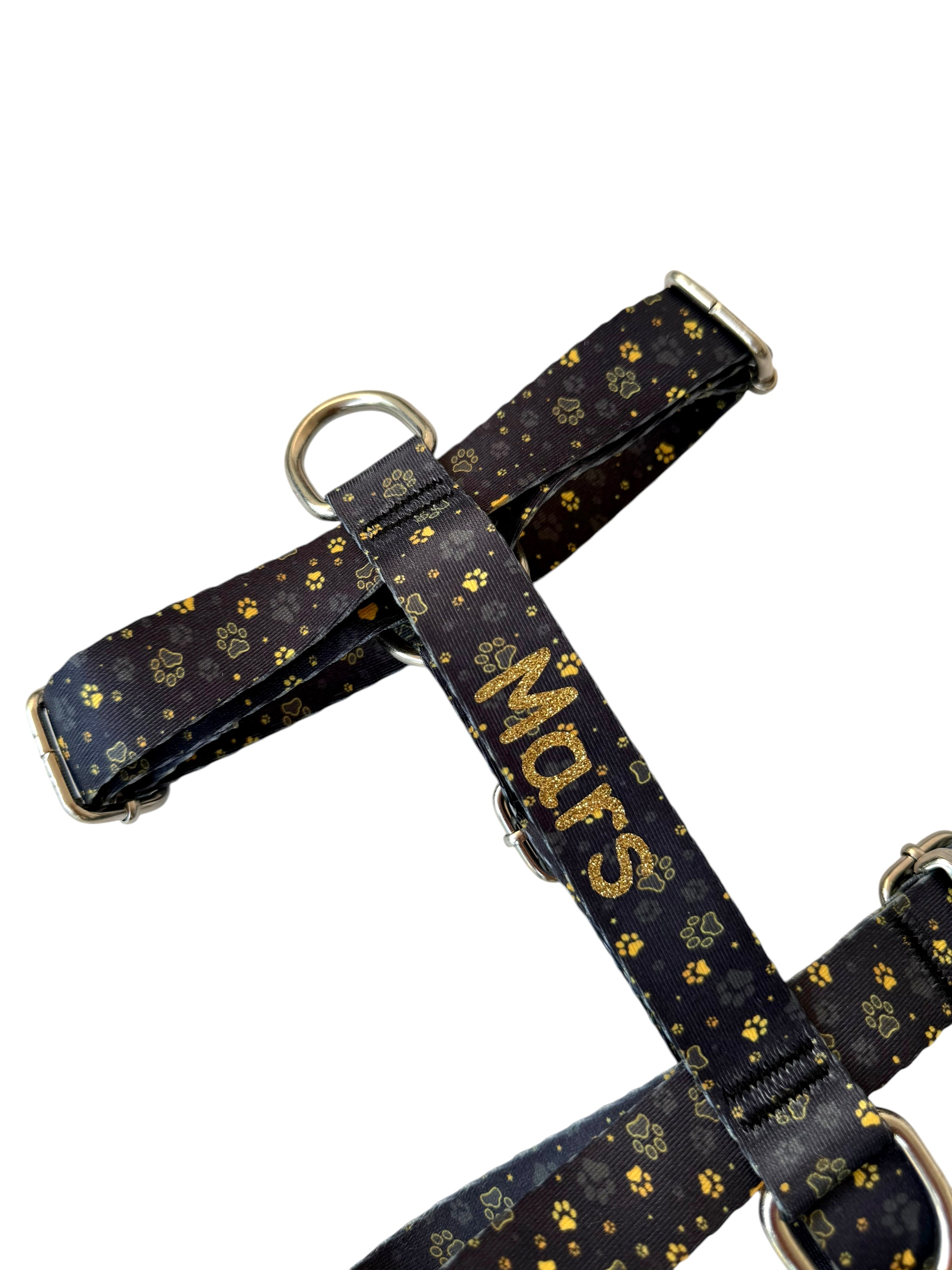 İsme Özel Gold Paws Model Köpek Göğüs Tasması