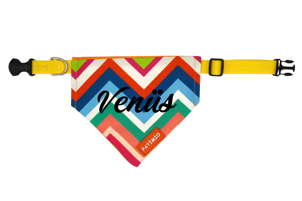 İsme Özel Paint Kedi Ve Köpek Tasma Fular Bandana
