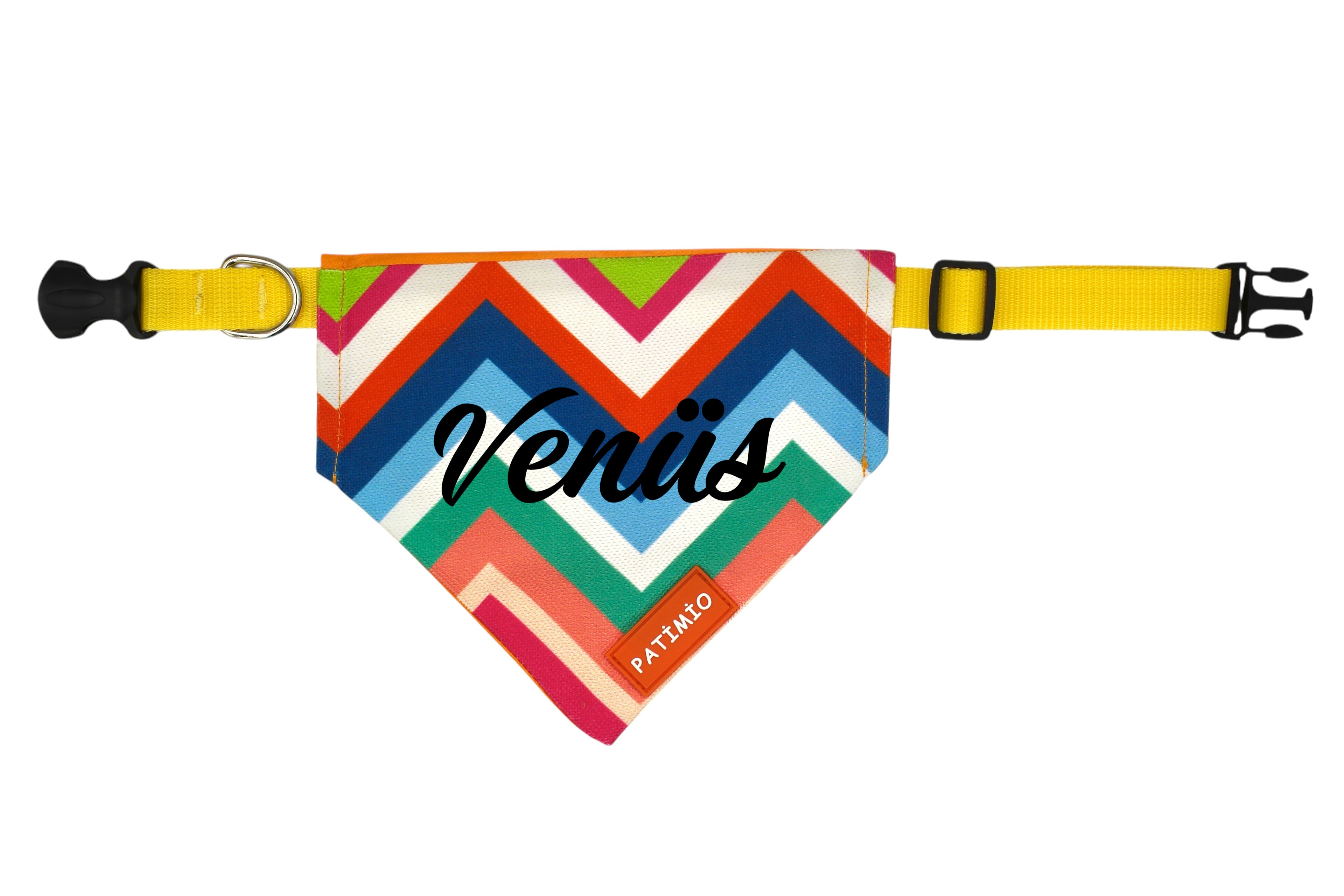 İsme Özel Paint Kedi Ve Köpek Tasma Fular Bandana