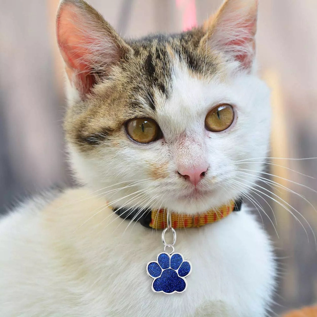 İsme Özel Çelik Kedi Köpek İsimlik Künyesi Mavi