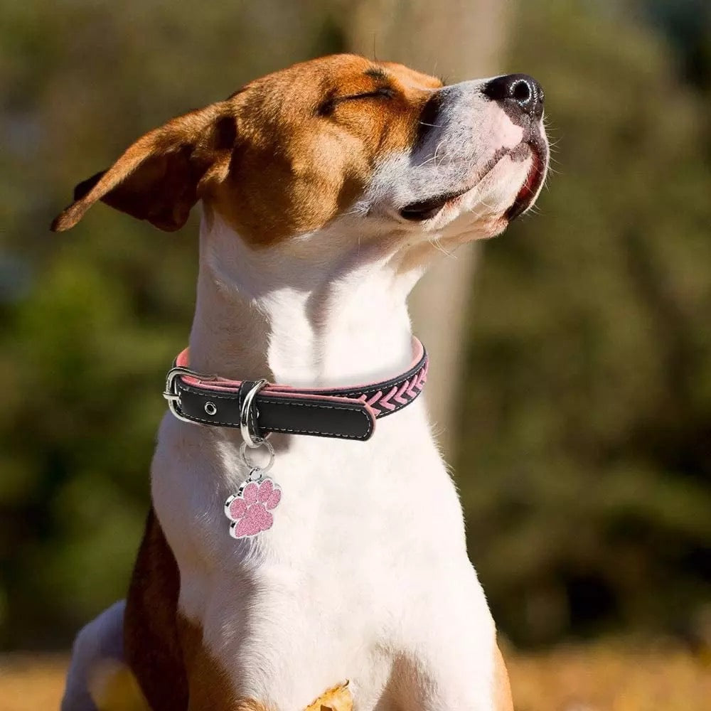 İsme Özel Çelik Kedi Köpek İsimlik Künyesi Pembe