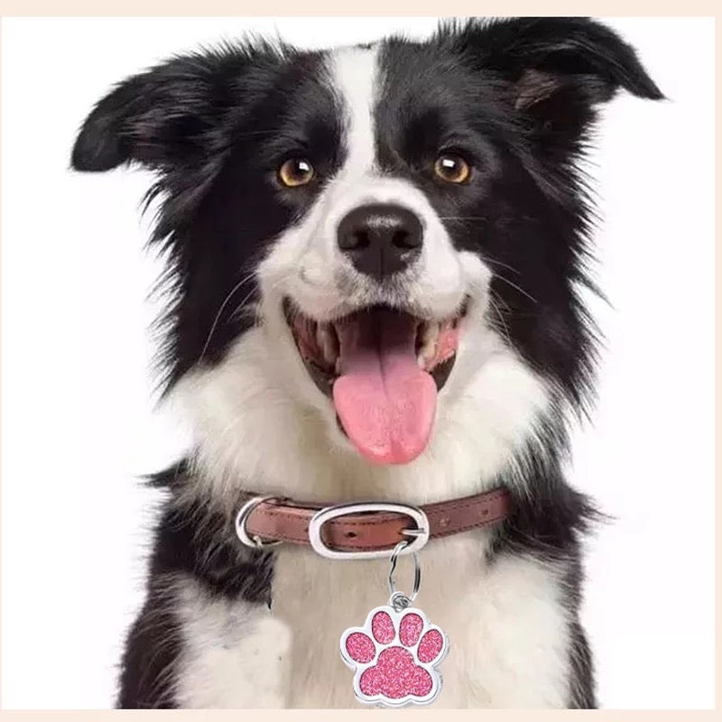 İsme Özel Çelik Kedi Köpek İsimlik Künyesi Pembe