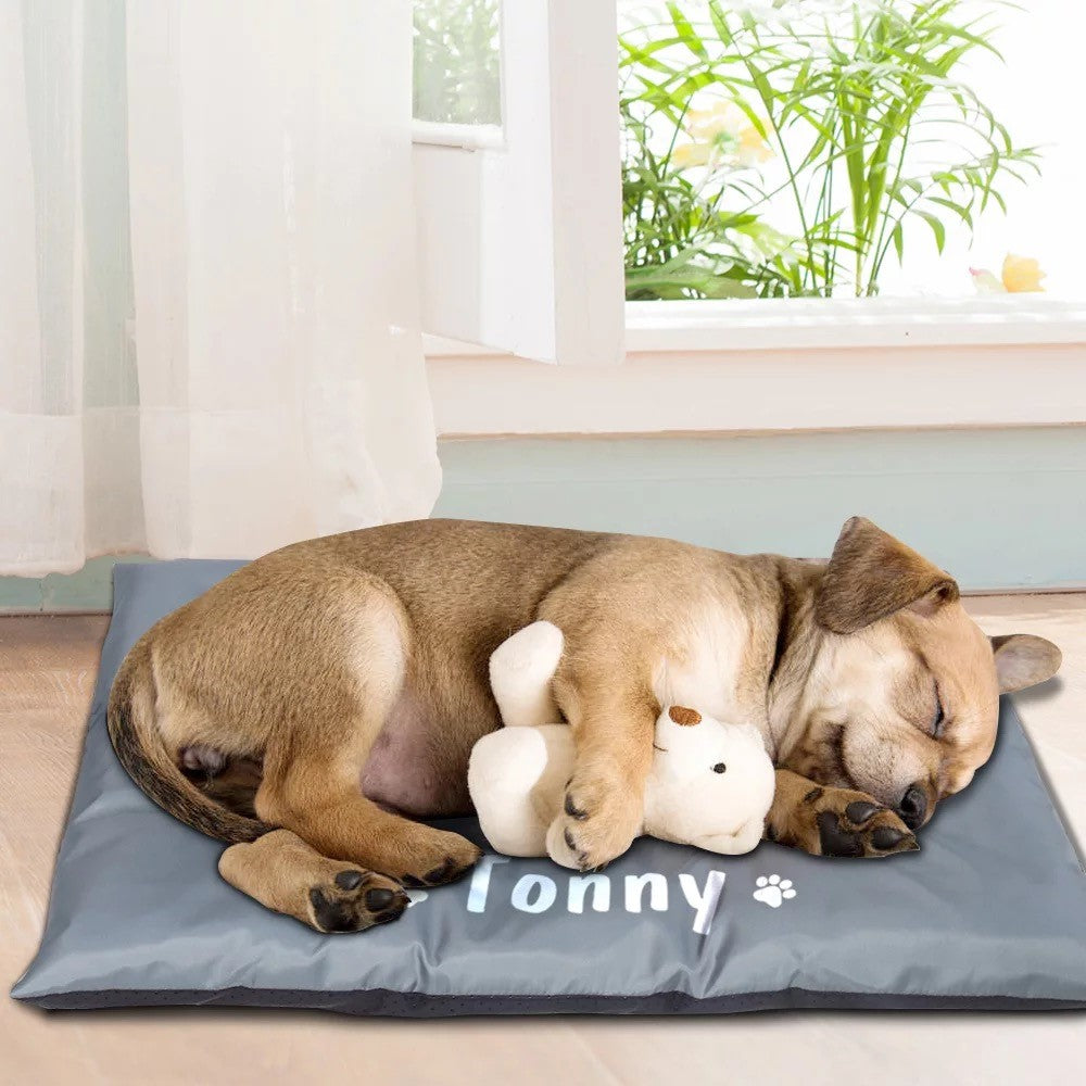 İsme Özel Kedi Köpek Yatağı