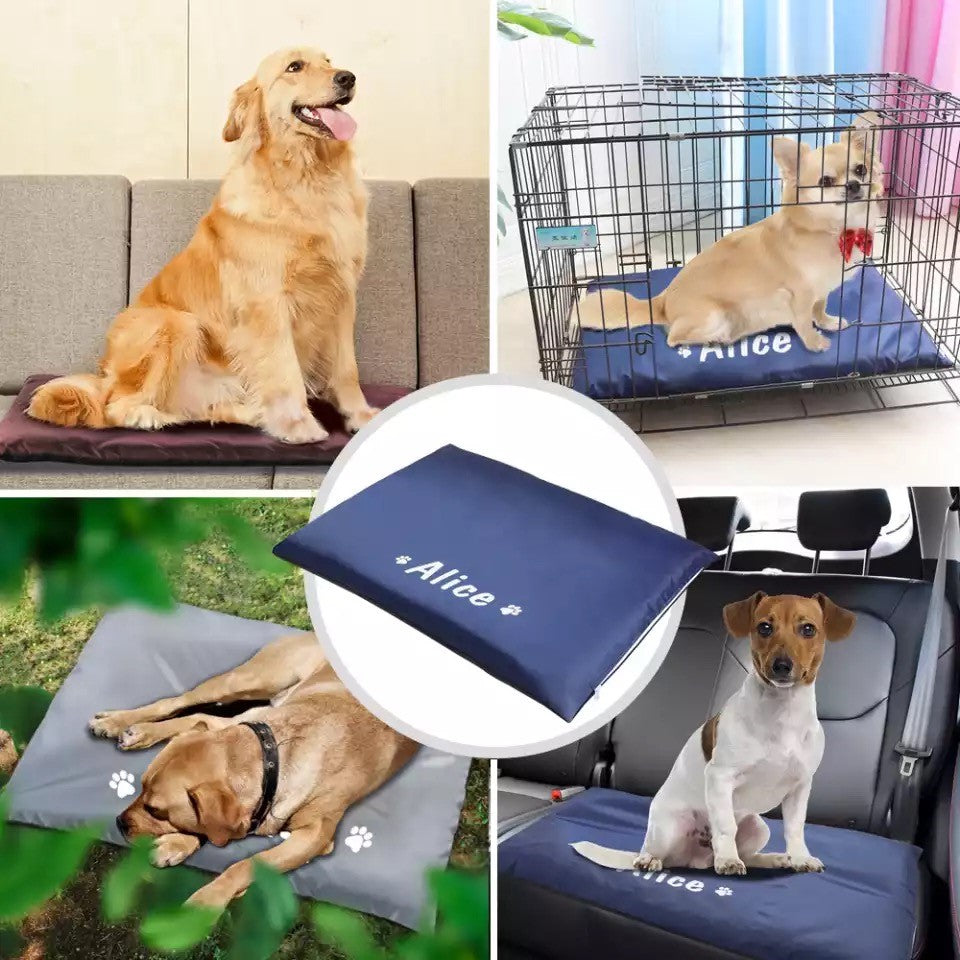 İsme Özel Kedi Köpek Yatağı