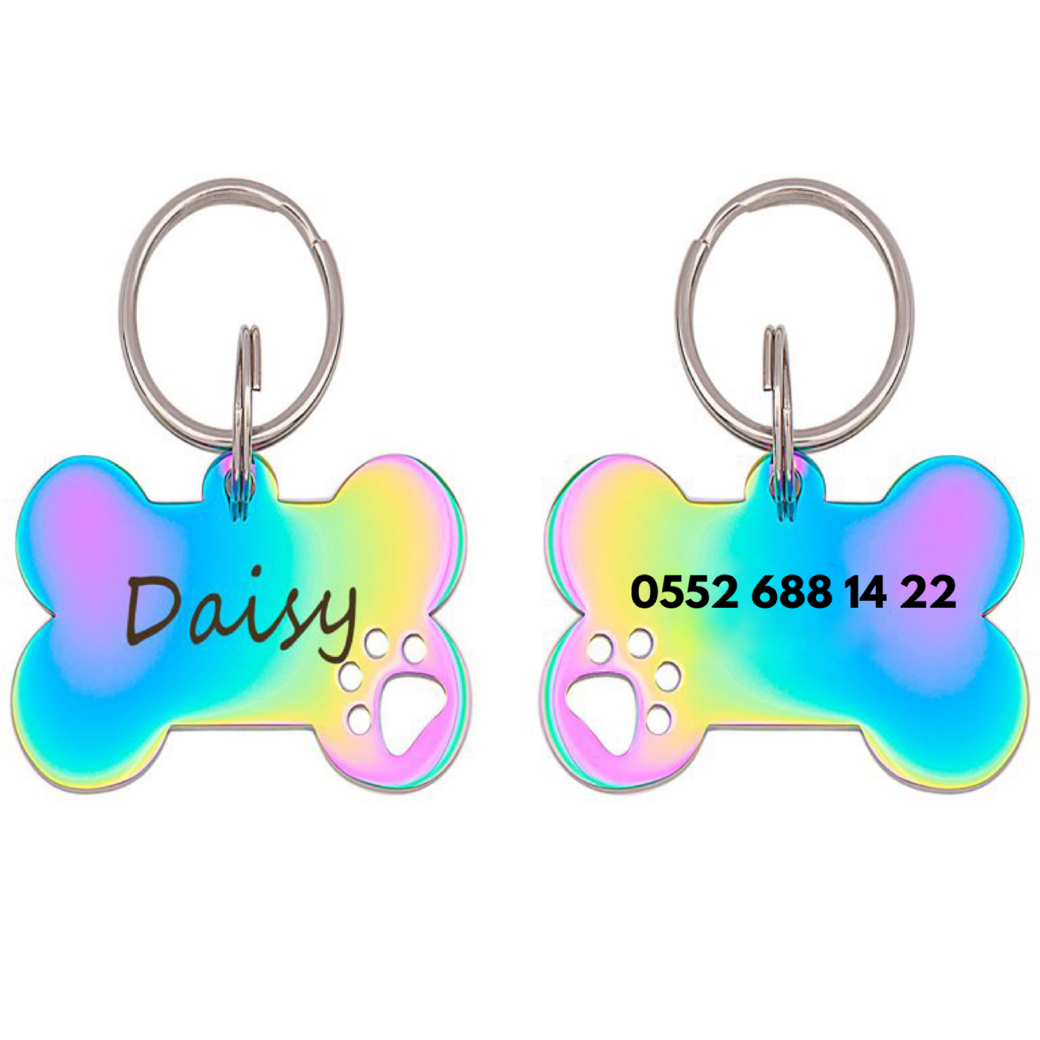 İsme Özel Çelik Kedi Köpek İsimlik Künyesi Rainbow