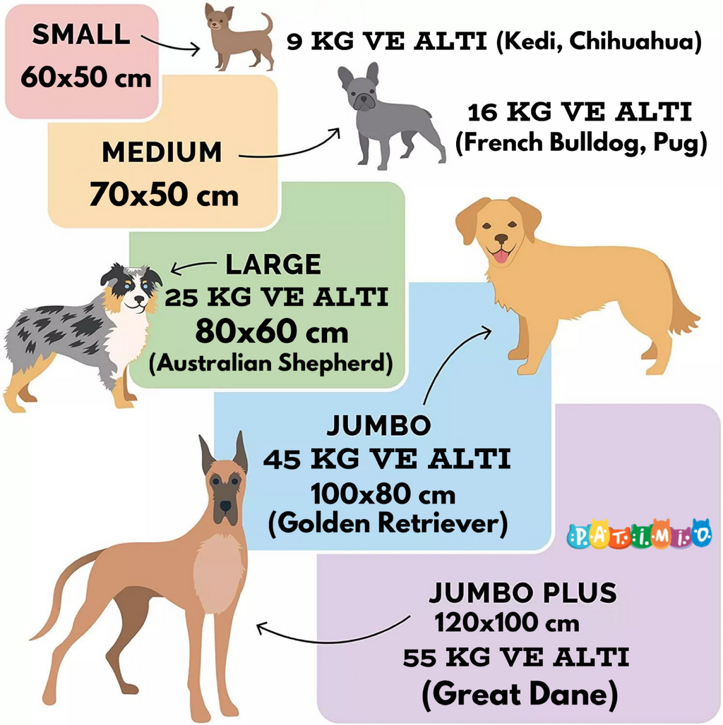 İsme Özel Kedi Köpek Yatağı